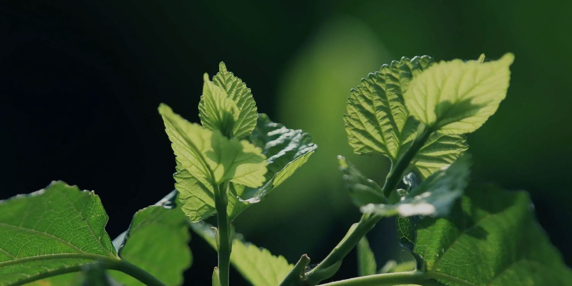 437ccm必赢国际(中国游)官网唯一线路